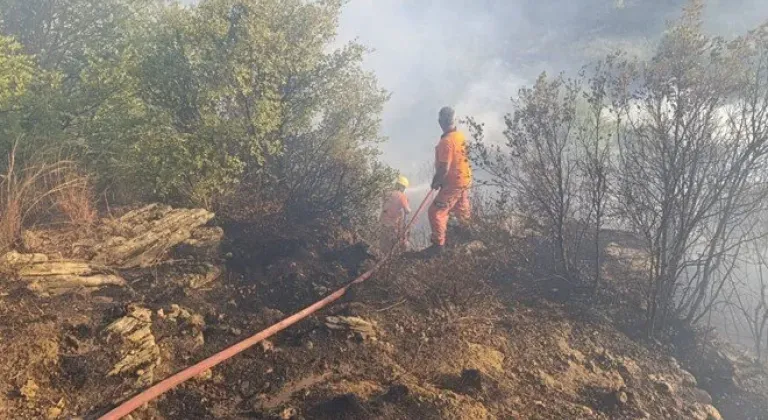 Antalya'da orman yangını