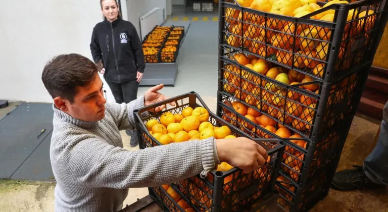 Hataylı mandalina üreticisine Nilüfer'den destek