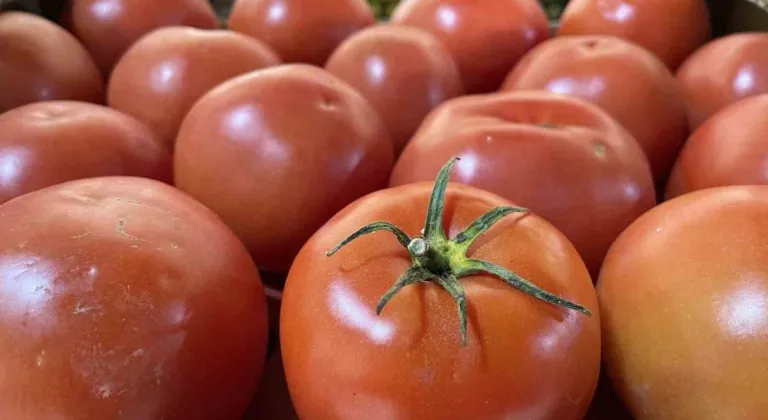 Soğuk Hava Sebze Fiyatlarını Uçurdu