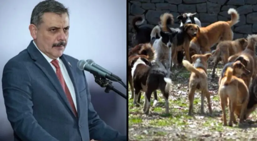 Manşet Resmi