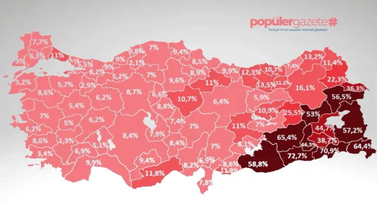 Kaçak Elektrik Kullanımı Oranları Açıklandı: Güneydoğu İlk Sırada