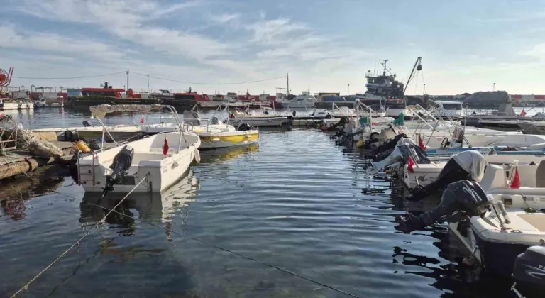 Marmara Denizi'nde Müsilaj Balıkçılığa Zarar Veriyor