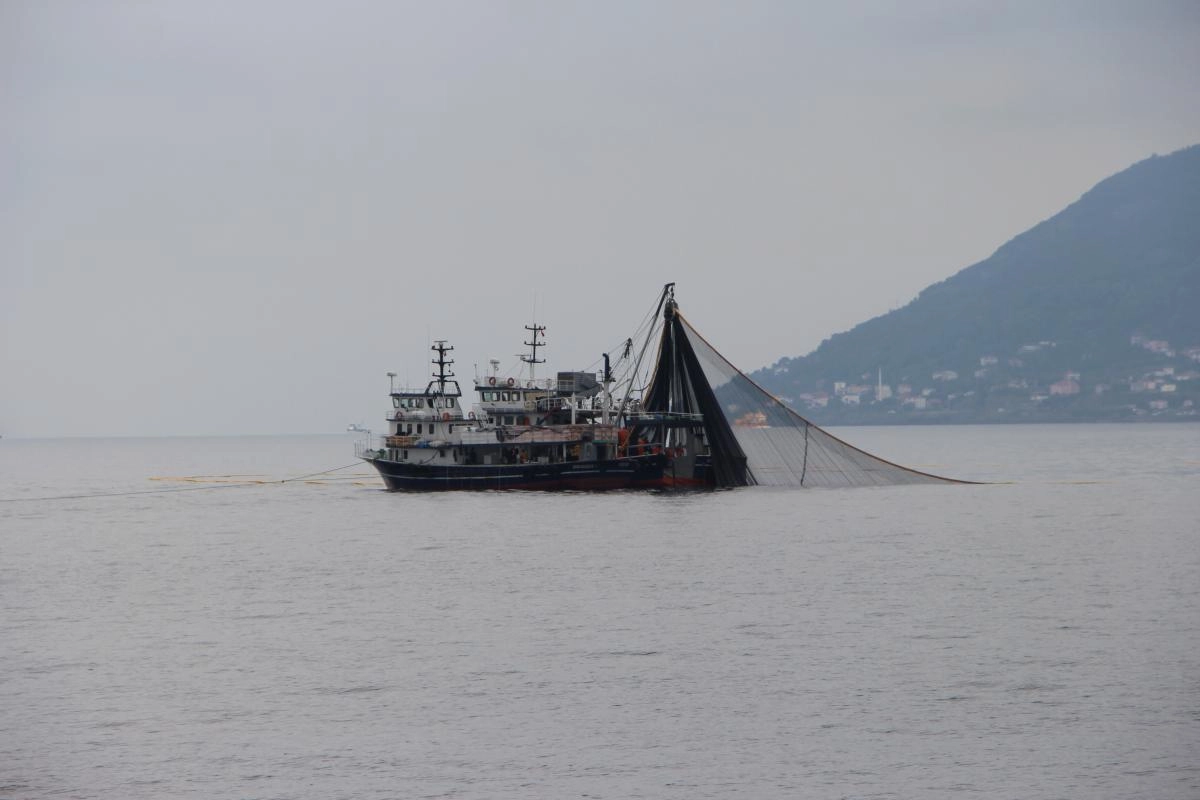 Radarlar Açık, Balıklar Peşinde: Denizcilerin Zorlu Görevi